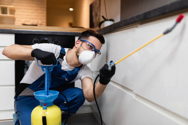 Best Pest Removal Services  in Johnsburg, IL