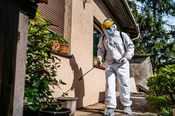 Best Mosquito Control Services  in Johnsburg, IL