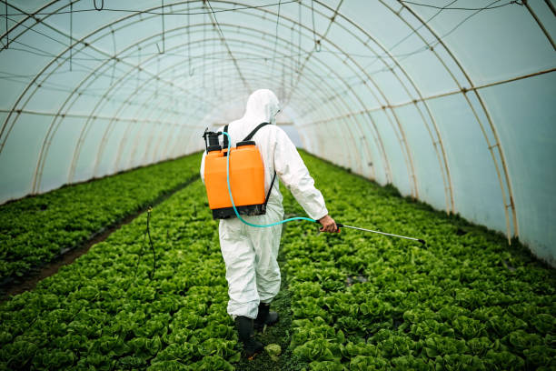 Best Best Pest Control Companies  in Johnsburg, IL