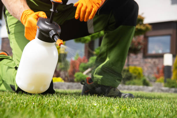 Reliable Johnsburg, IL Pest Control Solutions