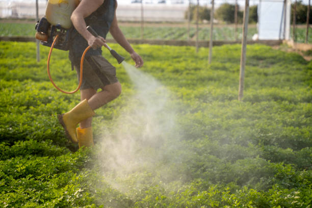 Insect Control in Johnsburg, IL
