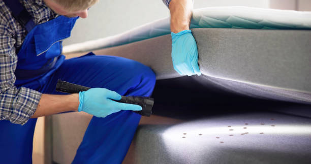 Best Pest Inspection Near Me  in Johnsburg, IL