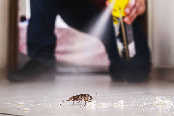 Best Pest Inspection Near Me  in Johnsburg, IL