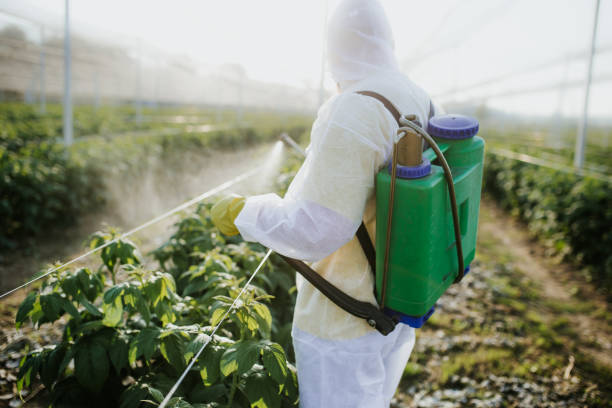 Best Residential Pest Control  in Johnsburg, IL